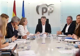 El PP presenta una denuncia contra Leire Díez, Jacobo Teijelo y Javier Pérez Dolset por corrupción, cohecho y organización criminal, entre otros